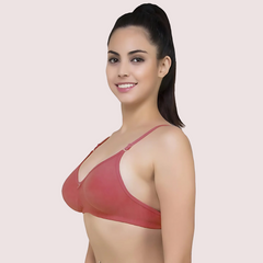 Lightly Padded classic comfort bra pack of 2 Snazzyway