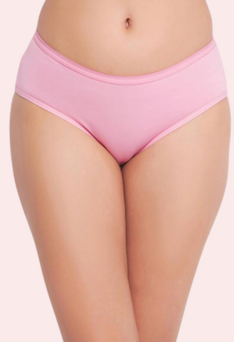 48 Pack of Womens Panties in Wholesale snazzyway