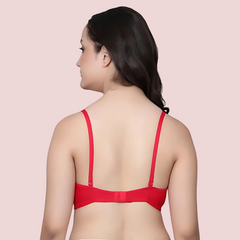 PureComfort Wire-Free Padded Bra Combo (2-Pack) Snazzyway