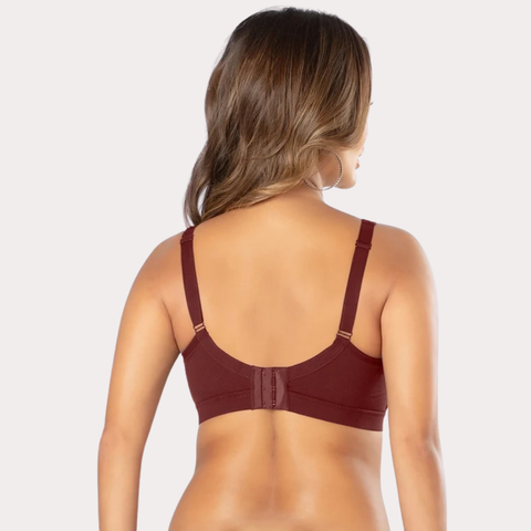 Pack of 2 Women’s Solid Everyday Comfort Bras Snazzyway