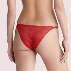 Exclusive French Daina Lace Tanga Panties Luxury Gift Box Snazzyway