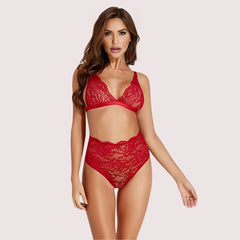 Sexy” stretch lace sexy bra set Snazzyway