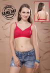 2 Pack Comfy padded non wired t shirt bra FRENCH DAINA