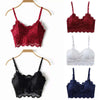 2 pack luxury lace padded bralette FRENCH DAINA