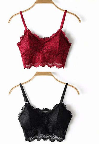 2 pack luxury lace padded bralette FRENCH DAINA