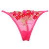 All Visible pink Transparent G-String thong snazzyway