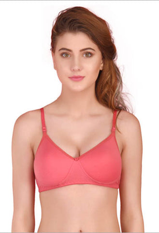 3 Pack Seamless padded T shirt bra FRENCH DAINA