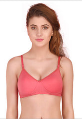 3 Pack Seamless padded T shirt bra FRENCH DAINA