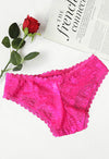 Etam Beautiful Floral Net Lace See Through Panty(sold out) snazzyway