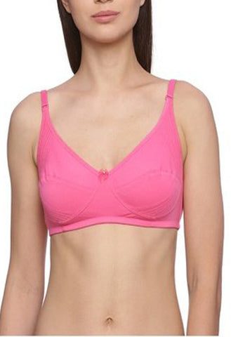 "Hushh" Magenta Comfy Plus Size Regular Use Bra FRENCH DAINA