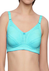 "Hushh" Sky Blue Plus Size Regular Use Bra FRENCH DAINA