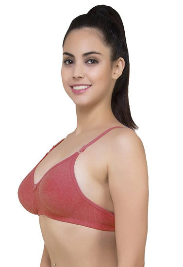 Lightly Padded classic comfort bra pack of 2 snazzyway