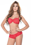 Romantic Night Red Visible Lace Bra Set FRENCH DAINA