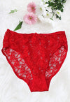 Snazzy Flirty Red Net High Waist Panty(sold out) snazzyway