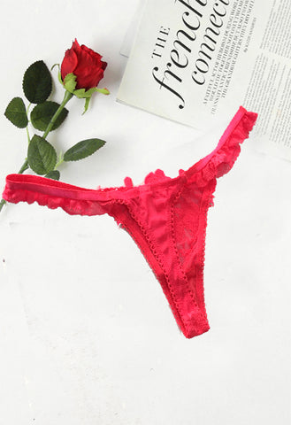 Soleil Sucre Crotch Embroidery Sexy Temptation String Lingerie snazzyway