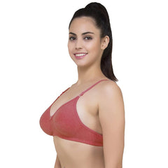 Lightly Padded classic comfort bra pack of 2 snazzyway